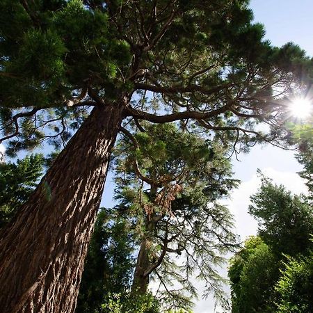Gite Sequoia Centre Historique Bayeux Eksteriør bilde