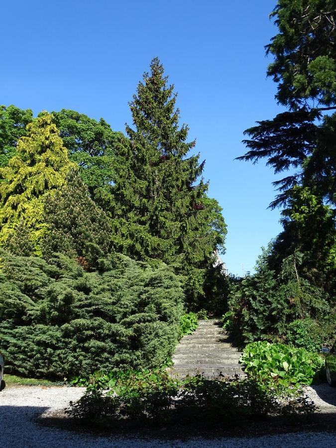 Gite Sequoia Centre Historique Bayeux Eksteriør bilde